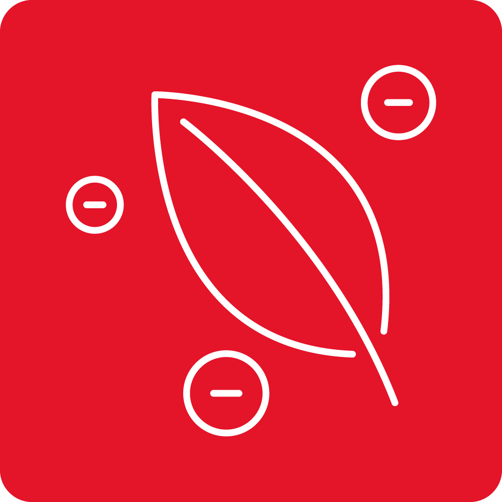 SmellFree - Ozone generator